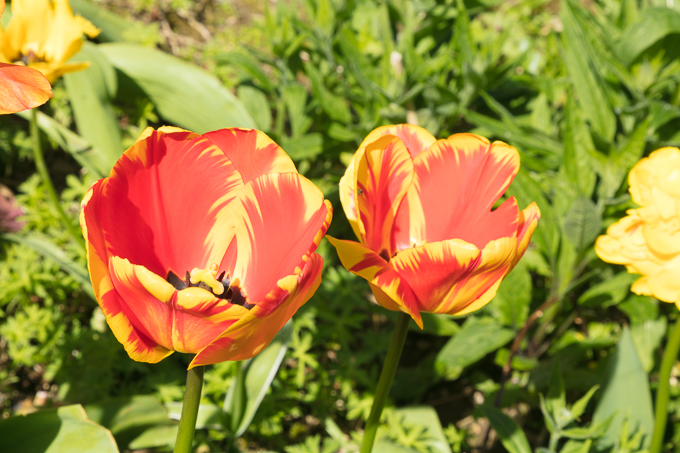 Will Apr 2018 (015)